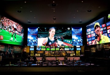 Sports pubs are drawing more people with big screen sport